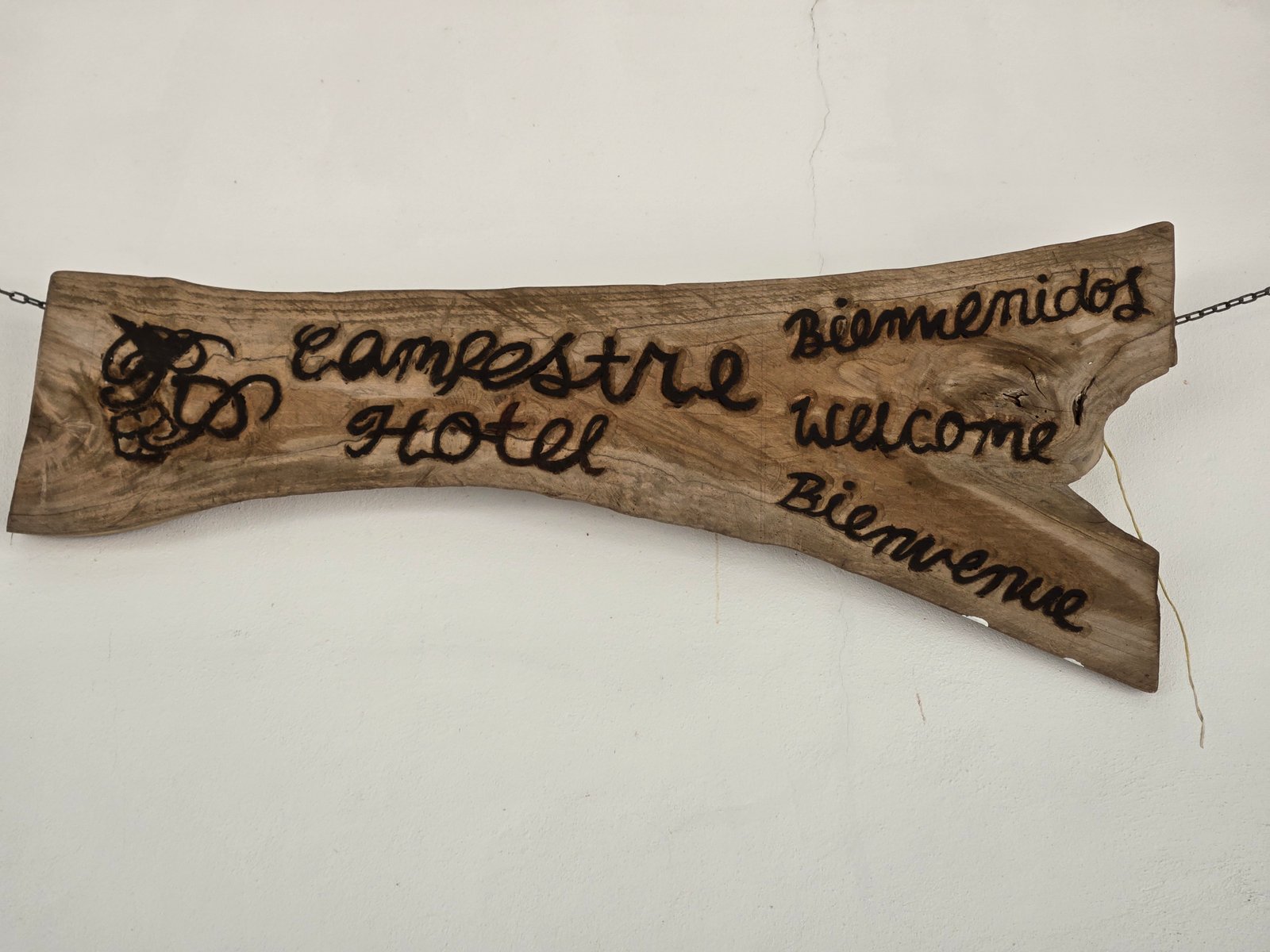 Galería Hotel Real Primaveras