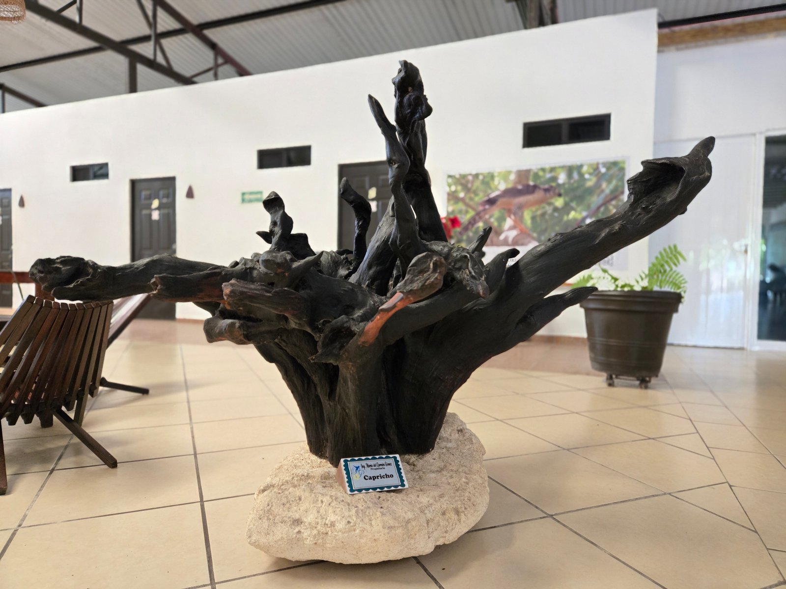 Galería Hotel Real Primaveras