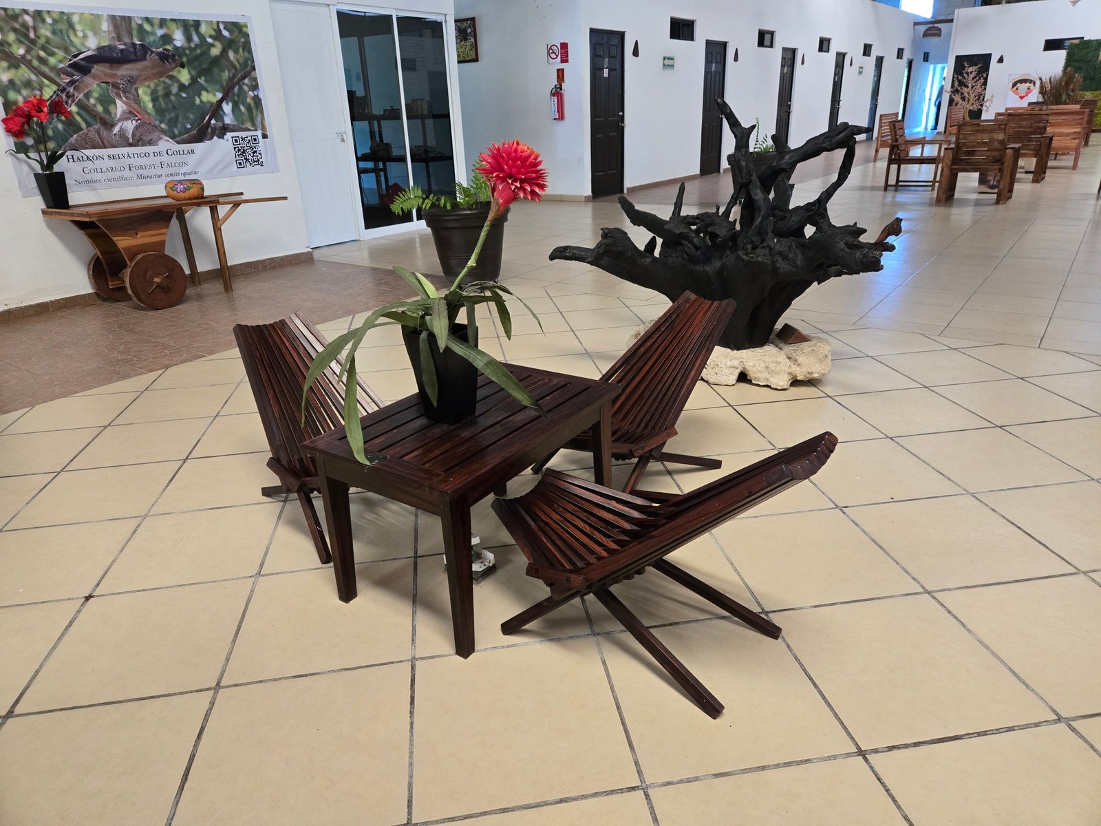 Galería Hotel Real Primaveras