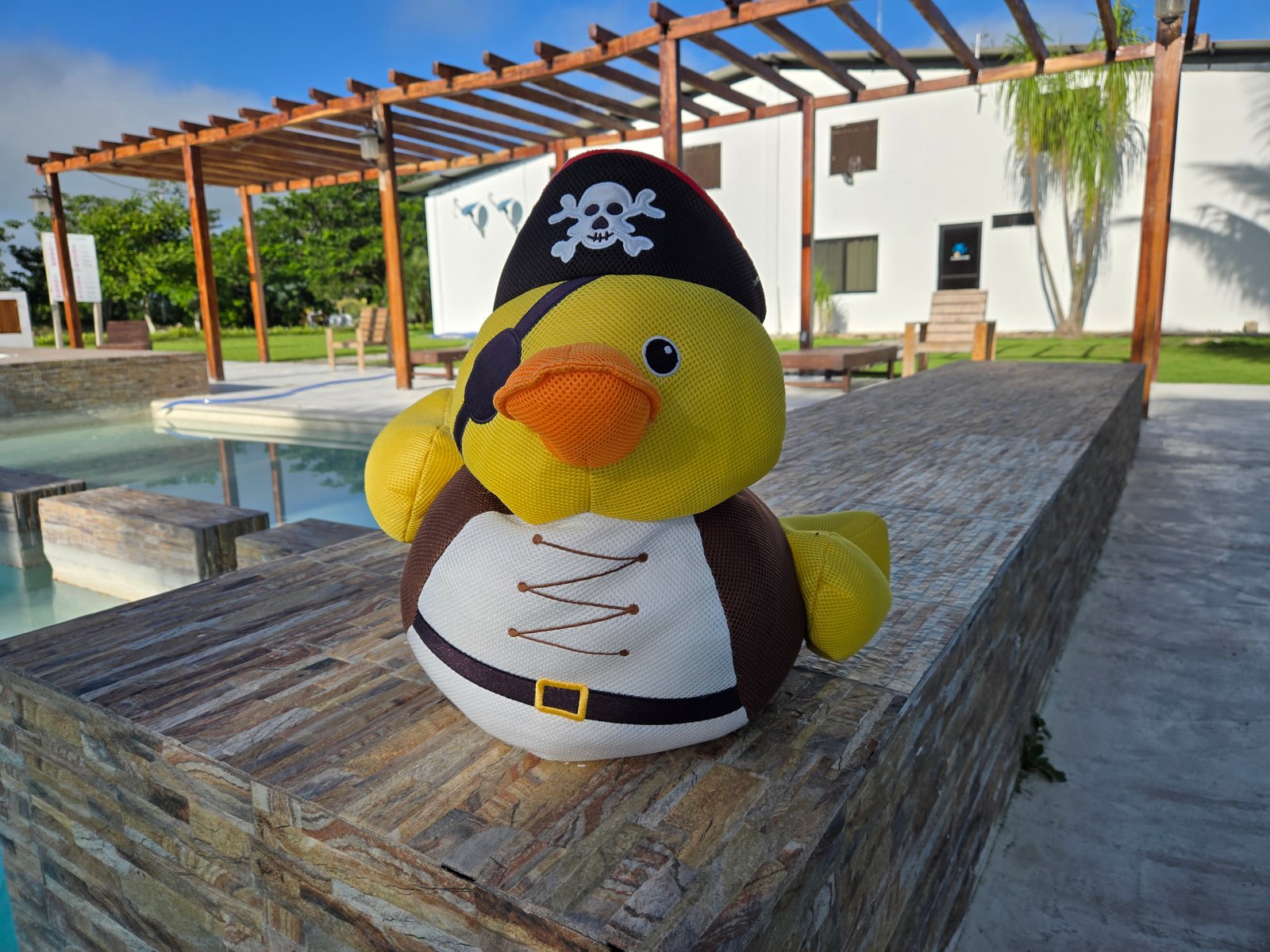 Galería Hotel Real Primaveras