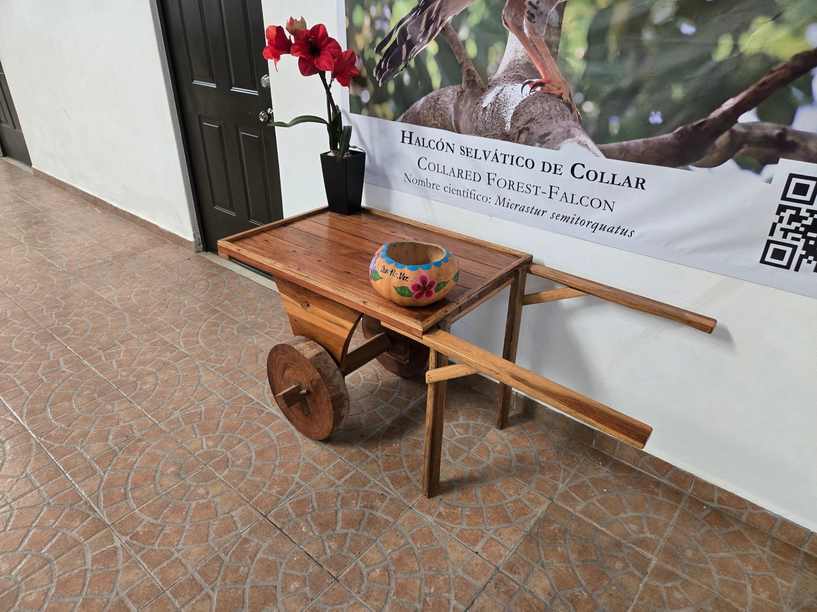 Galería Hotel Real Primaveras