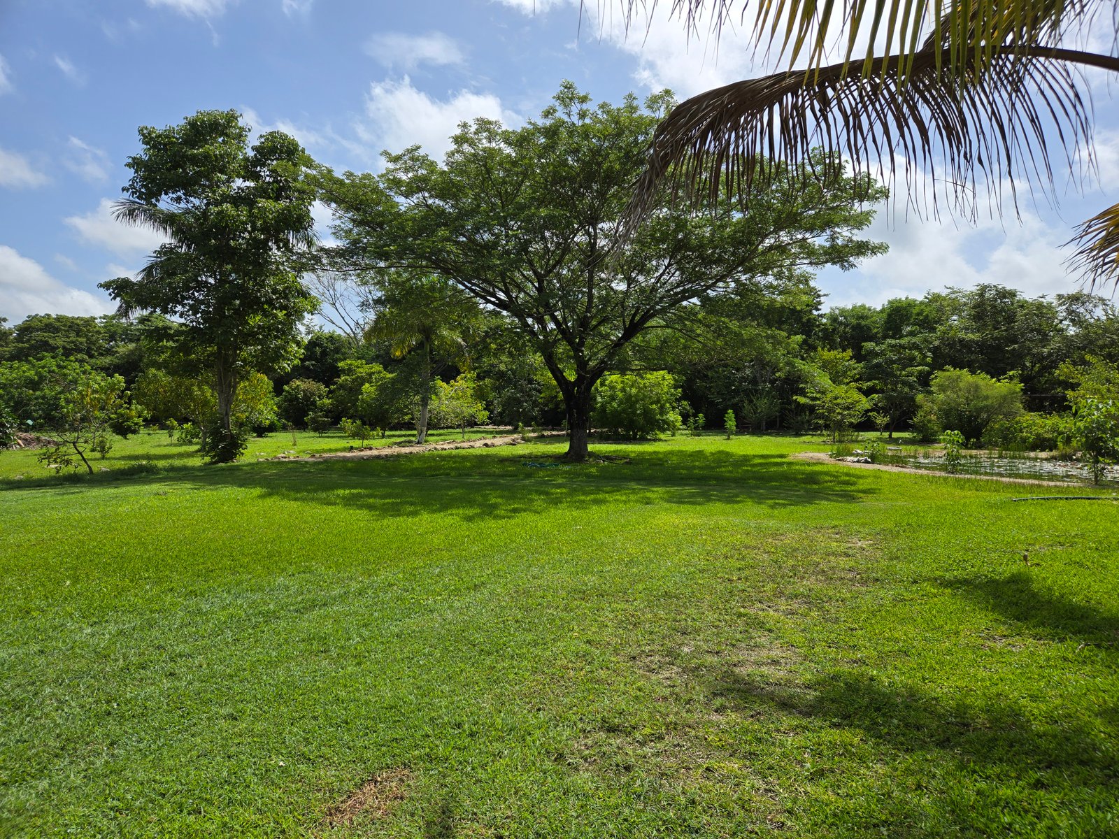 Galería Hotel Real Primaveras