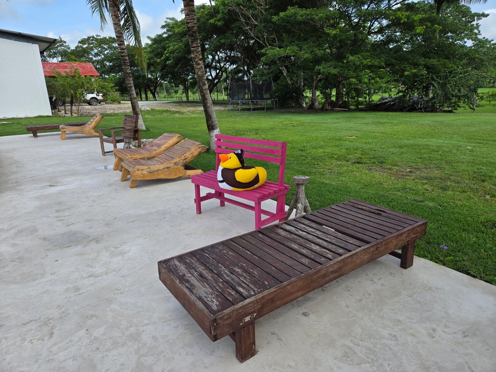 Galería Hotel Real Primaveras